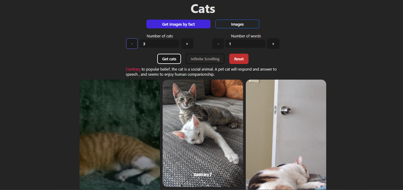 Interfaz de productos