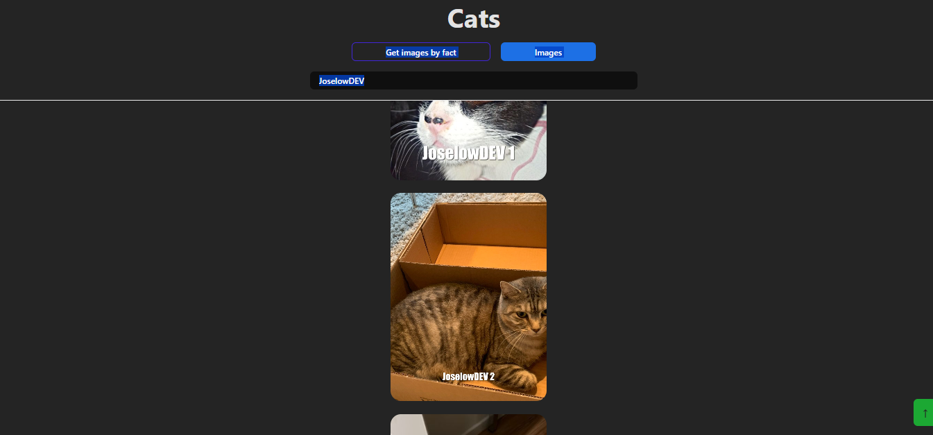 Búsqueda de imágenes