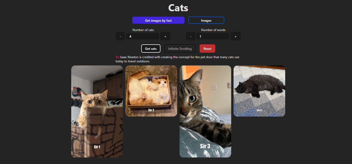 Filtros de búsqueda